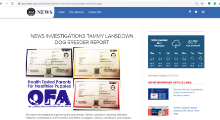 goodbreeder, tammy, lansdown, acanews, article, dog, breeder, tammy-lansdown, dog-breeder,