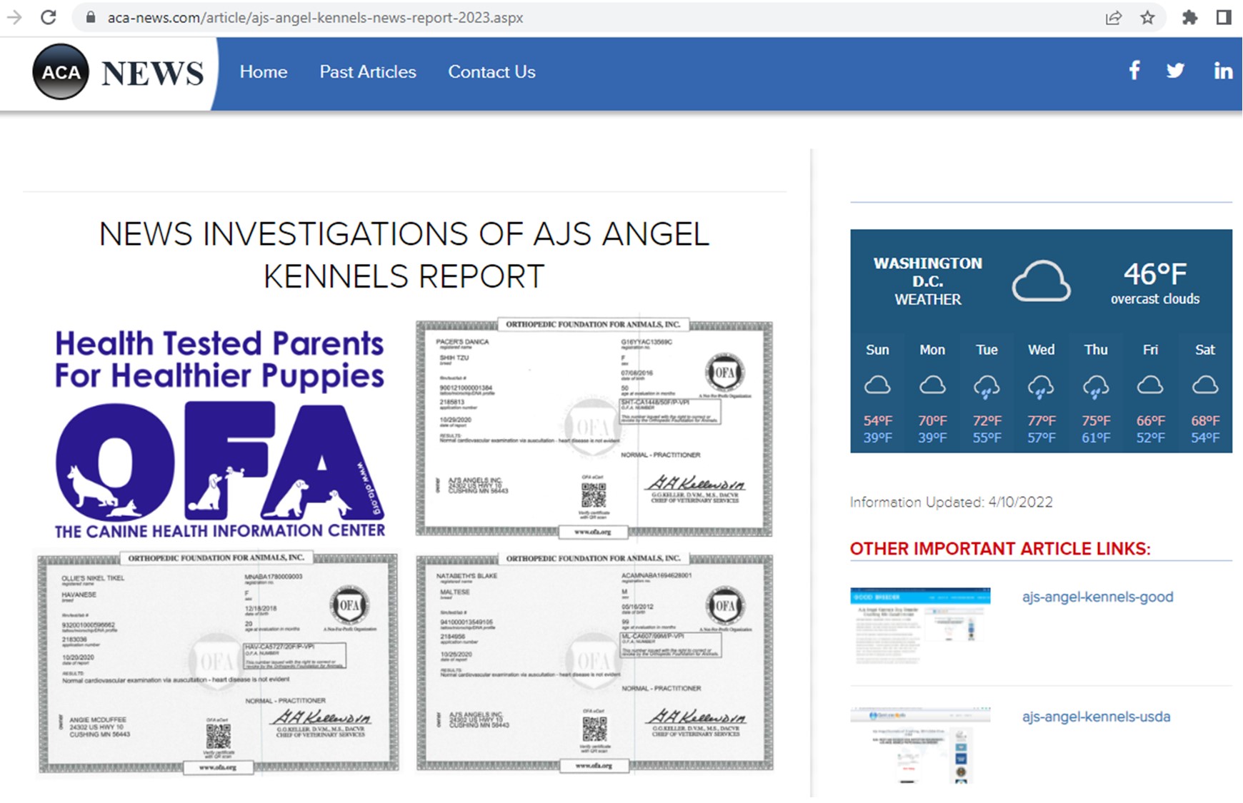 Ajs, Angel, Kennels, dog, breeder, news, report, article, investigation, Ajs-Angel-Kennels, Crushing, MN, Minnesota, puppy, dog, kennels, mill, puppymill, usda, 5-star, ACA, ICA, registered, show handler, yorkshire, terriers