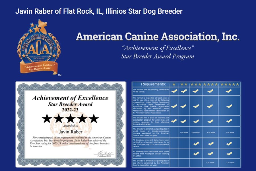 javin, raber, dog, starbreeder, good, breeder, usda, 33-a-0586, 33a0586, javin-raber, dog-breeder, flat, rock, il, illinios, flatrock, puppy, dog, kennels, mill, puppymill, usda, 5-star, aca, ica, registered, bernidoodles