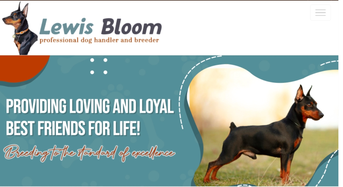 Lewis, Bloom, dog, breeder, home, homepage, official, Lewis-Bloom, Clay Center, KS, dog, breeder, dog-breeder, reviews, star, starbreeder, aca, ica, registered, puppies, for, sale, puppy, mill, USDA, 48-A-1316, 48A1316