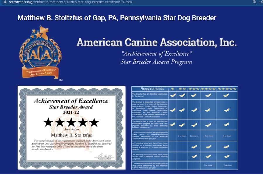 goodbreeder, matthew, stoltzfus, dog, breeder, starbreeder, matthrew-stoltzfus, dog-breeder, gap, pa, pennsylvania, goodle, doodles, pugs, frensh, bulldogs, puppy, mill, puppymill, usda, inspection, records, kennel, reviews