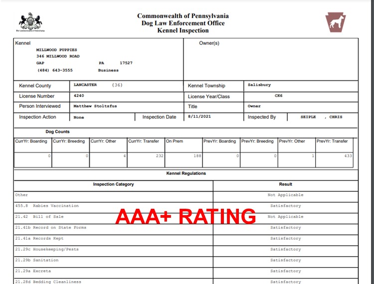 matthew, stoltzfus, dog, breeder, DOA, inspections, matthrew-stoltzfus, dog-breeder, gap, pa, pennsylvania, goodle, doodles, pugs, frensh, bulldogs, puppy, mill, puppymill, usda, inspection, records, kennel, reviews