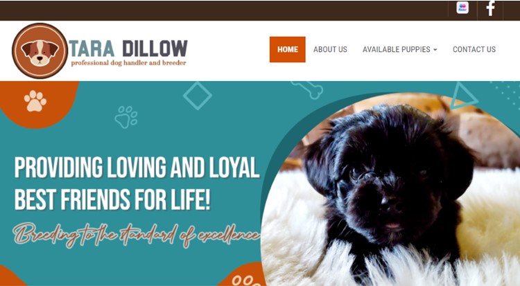 tara, dillow, dog, breeder, official, homepage, tara-dillow, dog-breeder, erei, ks, kansas, puppy, dog, kennels, mill, puppymill, usda, ACA, ICA, registered, show handler, retrievers, usda, 48-A-2019, 48A2019